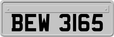 BEW3165