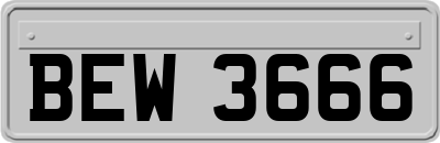 BEW3666