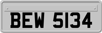 BEW5134