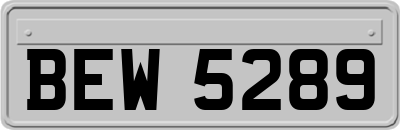 BEW5289