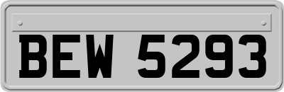 BEW5293