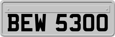 BEW5300