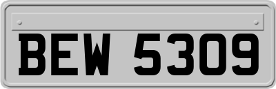 BEW5309