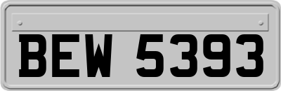 BEW5393
