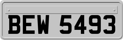 BEW5493