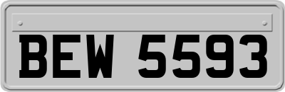 BEW5593