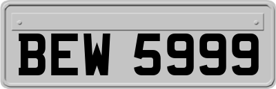 BEW5999