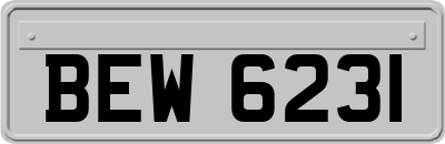 BEW6231