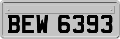 BEW6393