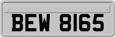 BEW8165