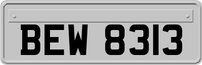 BEW8313