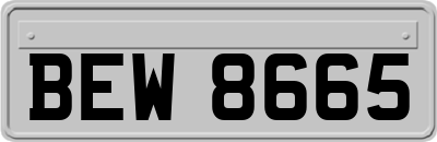 BEW8665