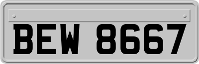 BEW8667