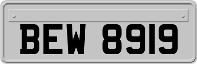 BEW8919