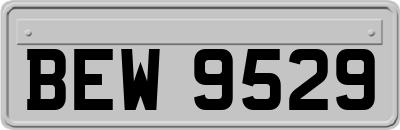 BEW9529