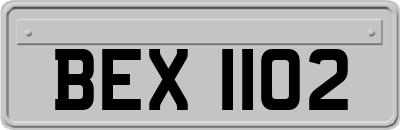 BEX1102