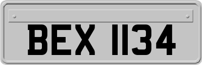 BEX1134