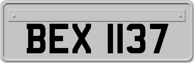 BEX1137