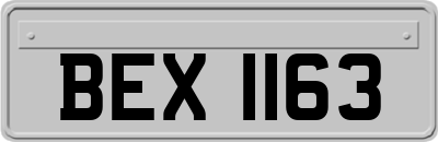 BEX1163