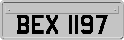 BEX1197