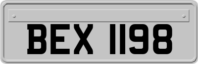 BEX1198