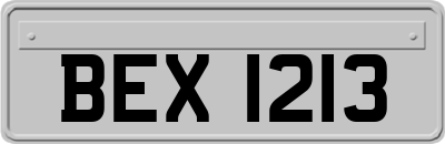 BEX1213