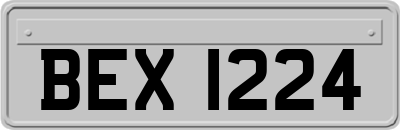 BEX1224