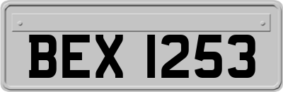 BEX1253