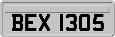 BEX1305