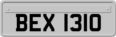 BEX1310