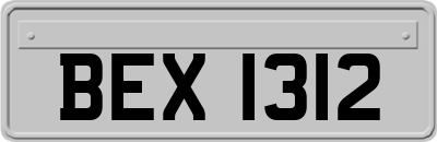 BEX1312