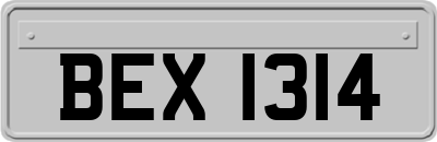 BEX1314