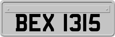 BEX1315