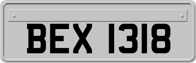 BEX1318