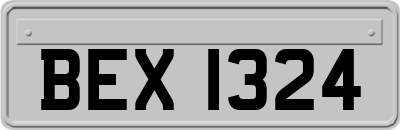 BEX1324