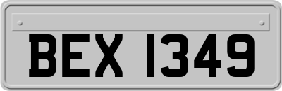 BEX1349