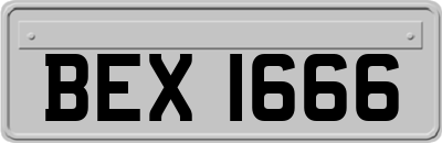 BEX1666