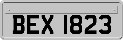 BEX1823