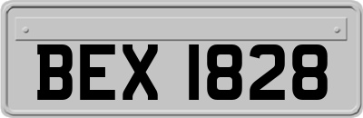 BEX1828