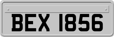 BEX1856