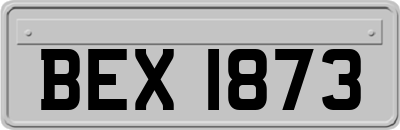 BEX1873