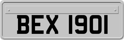 BEX1901