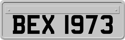 BEX1973