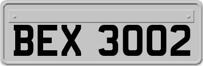 BEX3002