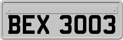 BEX3003