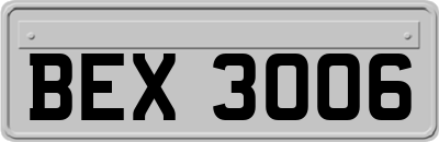 BEX3006