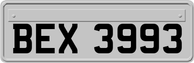 BEX3993