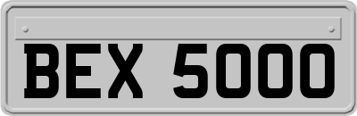 BEX5000