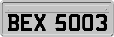 BEX5003