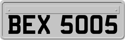 BEX5005